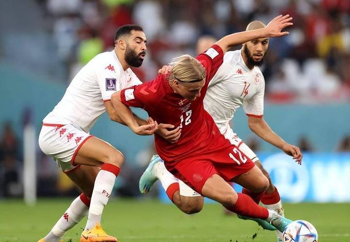 丹麦vs突尼斯