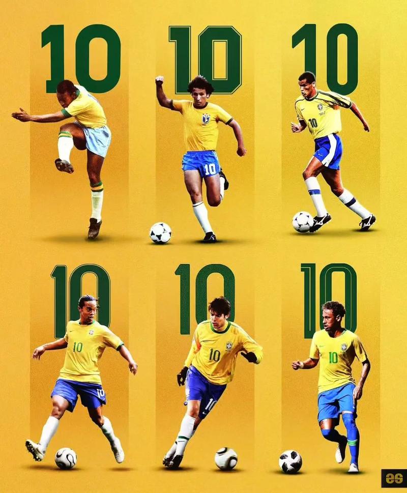 巴西10号