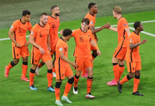 2014世界杯荷兰阵容14号